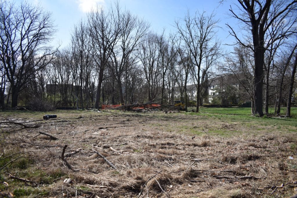 197d35d882110d72246700d0f5f1daee